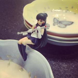 11990436_1658944514325210_6630729435520051765_n